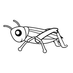 Saltamontes #9118