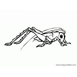 Saltamontes #9137