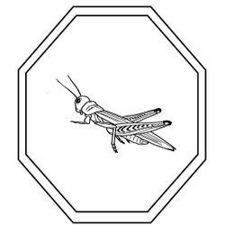 Saltamontes #9141