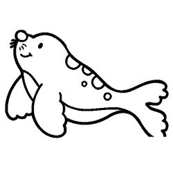 Foca #9154