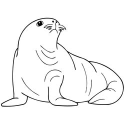 Foca #9157