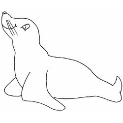 Foca #9158