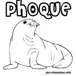 Foca #9159