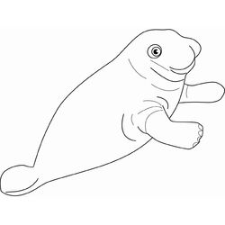 Foca #9164