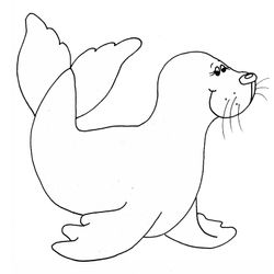Foca #9165