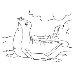 Foca #9166