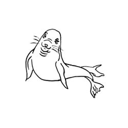 Foca #9177
