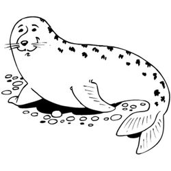 Foca #9185