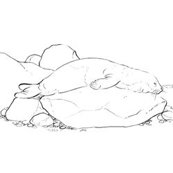 Foca #9187