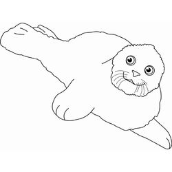 Foca #9190