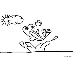 Foca #9194