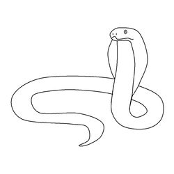 Serpiente #9204