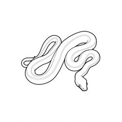 Serpiente #9205