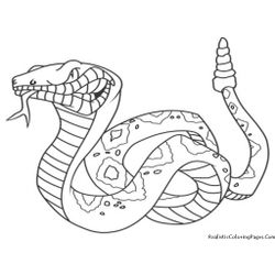 Serpiente #9208
