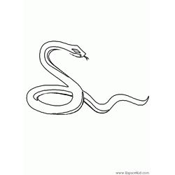 Serpiente #9209