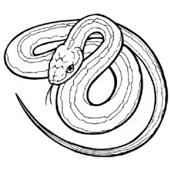 Serpiente #9210