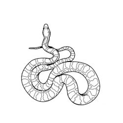 Serpiente #9215