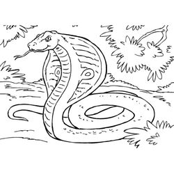 Serpiente #9216