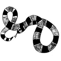 Serpiente #9224