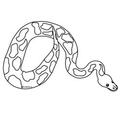 Serpiente #9229
