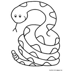 Serpiente #9238