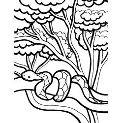 Serpiente #9243