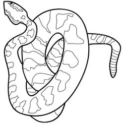 Serpiente #9244
