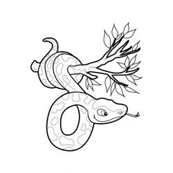 Serpiente #9250