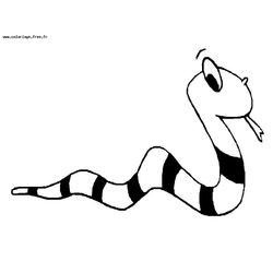 Serpiente #9253