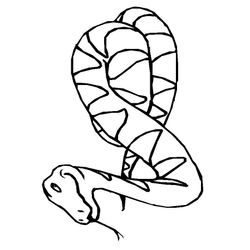 Serpiente #9255