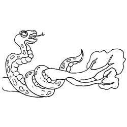 Serpiente #9257
