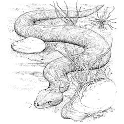 Serpiente #9260