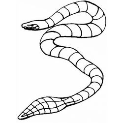 Serpiente #9269