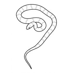 Serpiente #9278