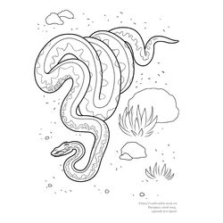 Serpiente #9286