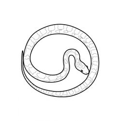 Serpiente #9292