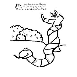 Serpiente #9294