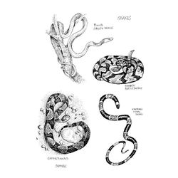 Serpiente #9302