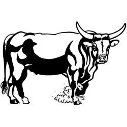 Toro #9310