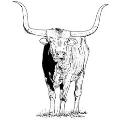 Toro #9324