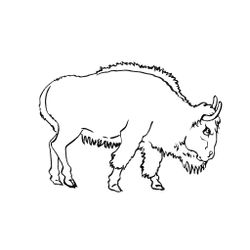 Toro #9335