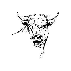 Toro #9353