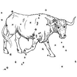 Toro #9354