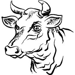 Toro #9364