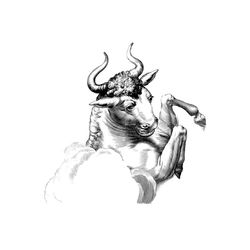 Toro #9369