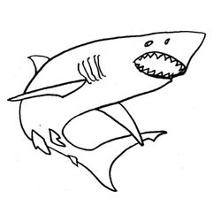 Tiburón #9379