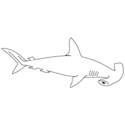 Tiburón #9382