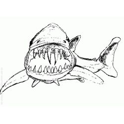 Tiburón #9386
