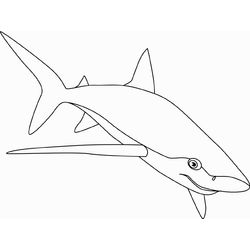 Tiburón #9388