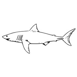 Tiburón #9393